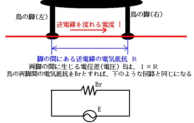 電線にとまった鳥が感電しない理由の説明図