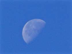 昼間の白い月の写真