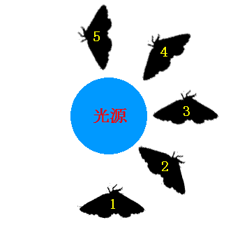蛾が光に集まる習性の説明図