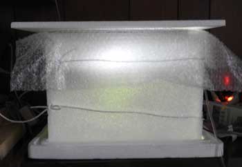 熱帯魚水槽のヒーターの電気使用量