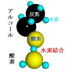 アルコールと水の水素結合を説明する図