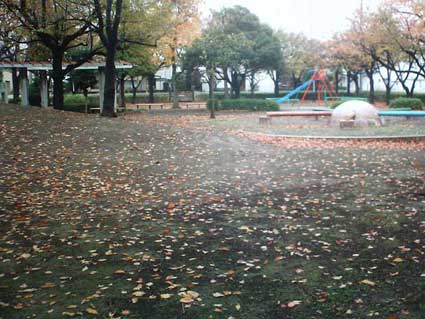 トイ・デジタルカメラMIRAX で撮った秋の公園の写真