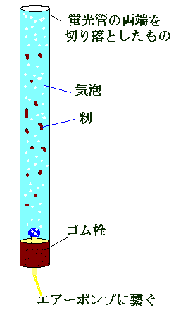 蛍光灯の直管を使った籾の水耕発芽実験のイメージ図