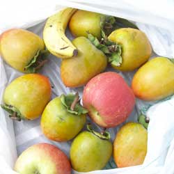 リンゴとバナナが入った袋に柿の実を入れる