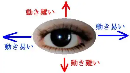 眼の視線の動きやすい方向