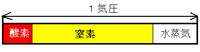 空気中に存在する気体の分圧の説明図