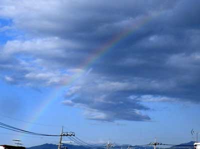 空に架かった虹の写真