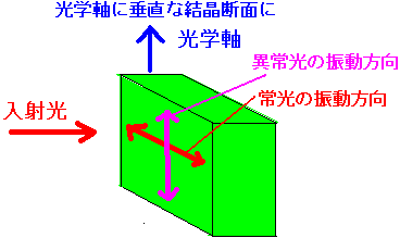 結晶に進入した異常光と常光の説明図