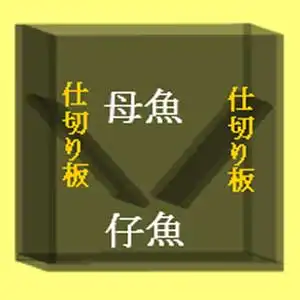 グッピーなど卵胎生メダカの産卵箱の説明図